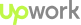 WEB DEVELOPER Company Logo