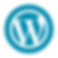 WEB DEVELOPER Shape 4